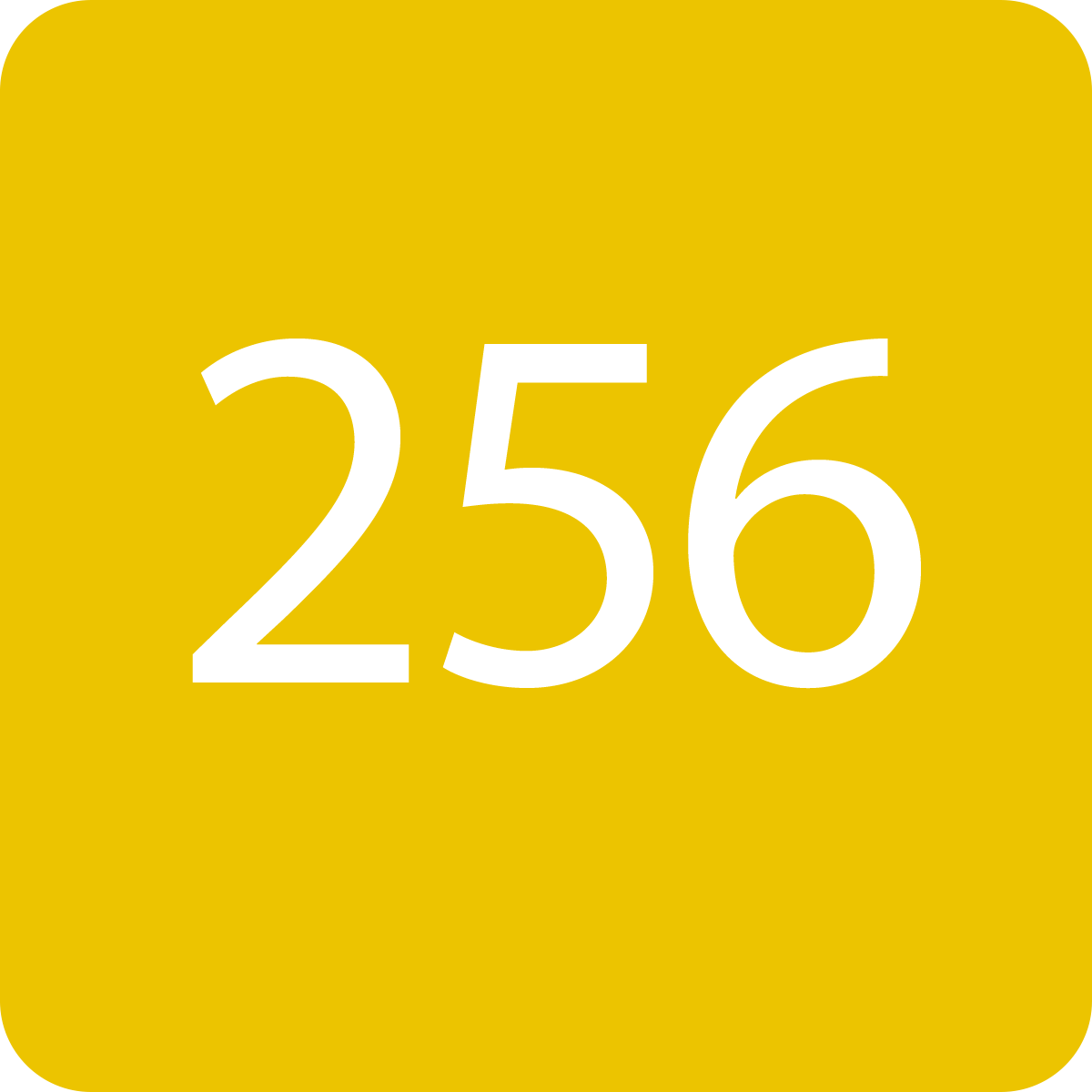 64 64 8 2048